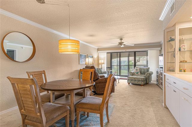 443 BOUCHELLE DRIVE 204, New Smyrna Beach, FL 32169
