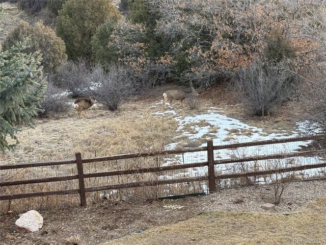 6167 Treeledge Dr, Colorado Springs, CO 80918