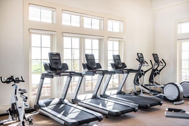 1301 Appaloosa Drive, Aubrey, TX 76227