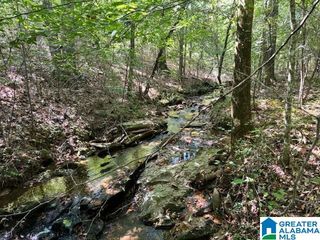 576 E. R. WHITE ROAD, Lineville, AL 36266