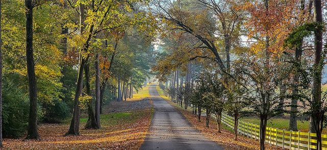 10318 Meers Lane, Dardanelle, AR 72834