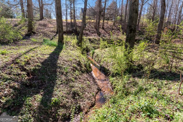 1780 Double Bridge Road, Demorest, GA 30535