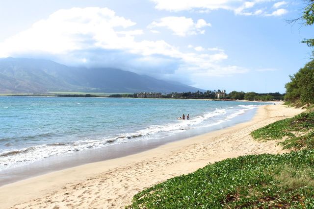 95 Ohukai Rd, Kihei, HI 96753