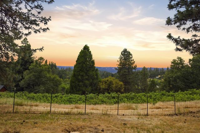 3580 Staghorn Ln, Georgetown, CA 95634