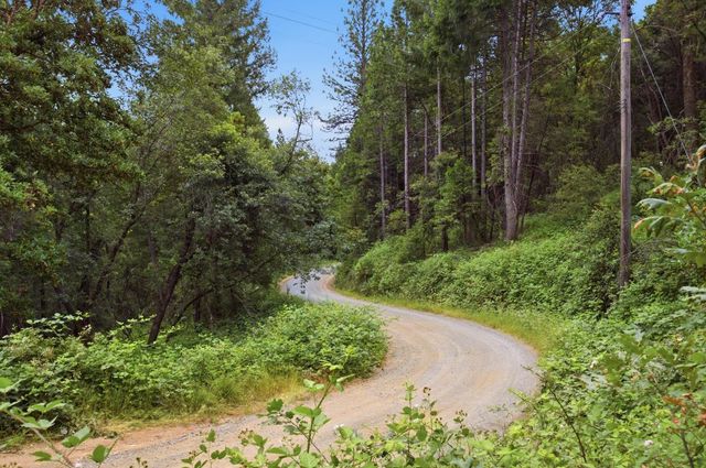 3580 Staghorn Ln, Georgetown, CA 95634