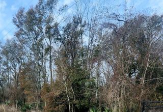 tbd Denver Hurst Rd, Gonzales, LA 70737