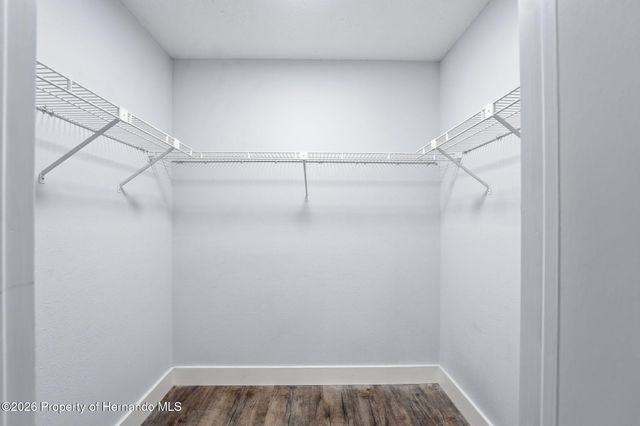 12335 Linden Drive, Spring Hill, FL 34608