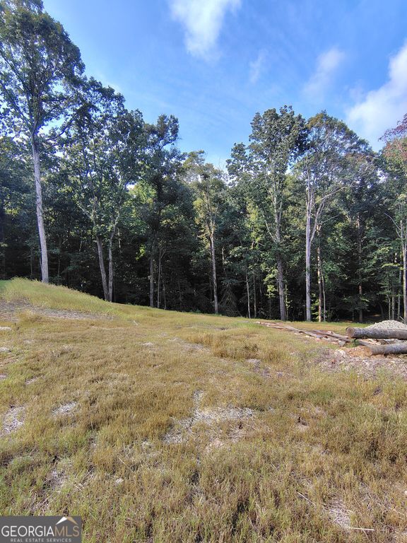 245 Brad Street, Royston, GA 30662 — exterior