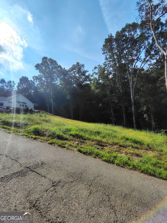 245 Brad Street, Royston, GA 30662 — photo 3