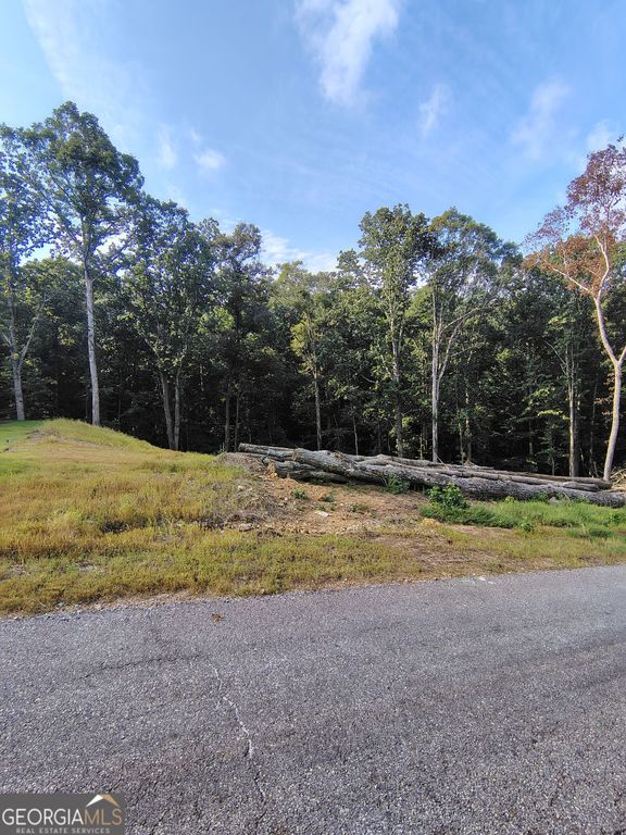 245 Brad Street, Royston, GA 30662 — photo 4