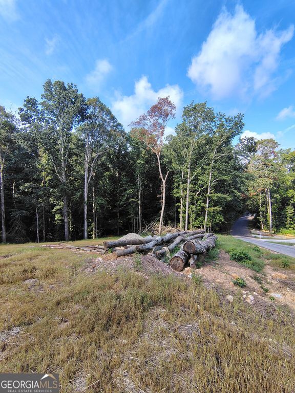 245 Brad Street, Royston, GA 30662 — photo 5