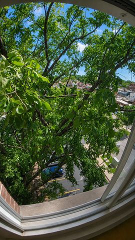 336 Lathrop Avenue 606, Forest Park, IL 60130