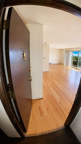 336 Lathrop Avenue 606, Forest Park, IL 60130