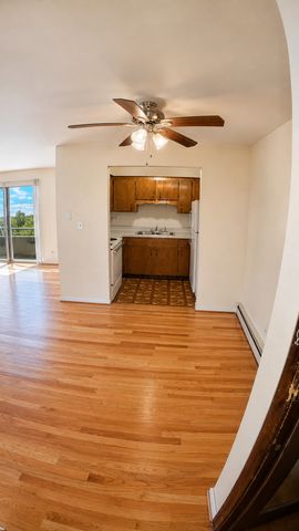 336 Lathrop Avenue 606, Forest Park, IL 60130