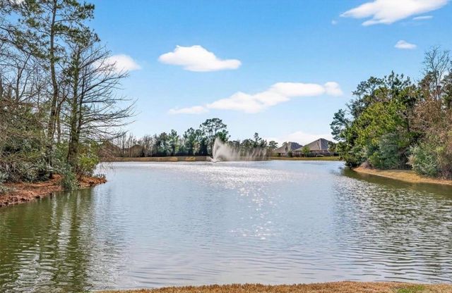 11508 Kalinago View Lane, Conroe, TX 77304
