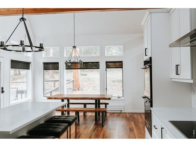 3202 Thunder Mountain Ln, Estes Park, CO 80517