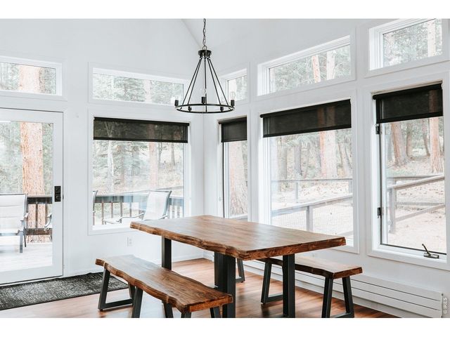 3202 Thunder Mountain Ln, Estes Park, CO 80517