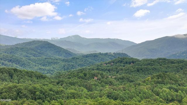 537 Johnson Ln Apt 1, Gatlinburg, TN 37738
