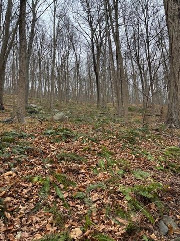 82 Wiccopee Road, Putnam Valley, NY 10579