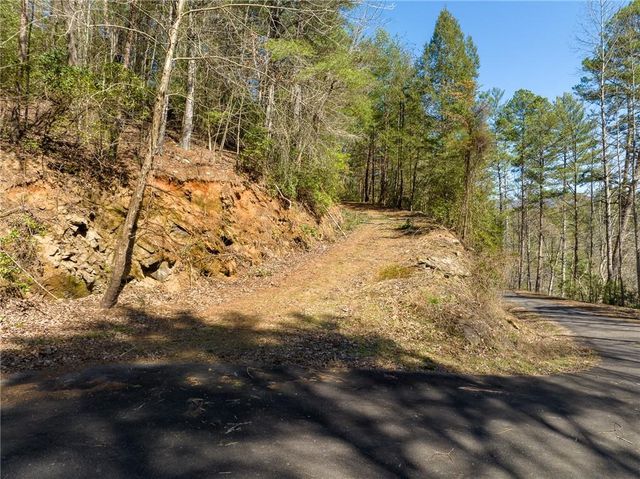 0 Coatopa Court, Ellijay, GA 30540