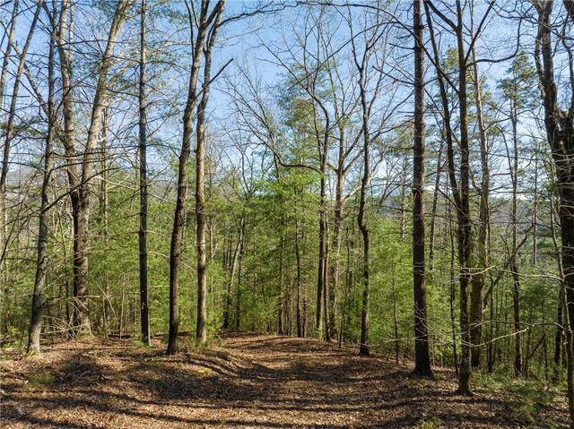 0 Coatopa Court, Ellijay, GA 30540