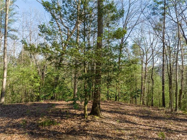 0 Coatopa Court, Ellijay, GA 30540