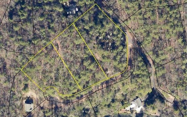 0 Coatopa Court, Ellijay, GA 30540