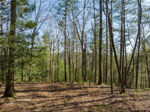 0 Coatopa Court, Ellijay, GA 30540