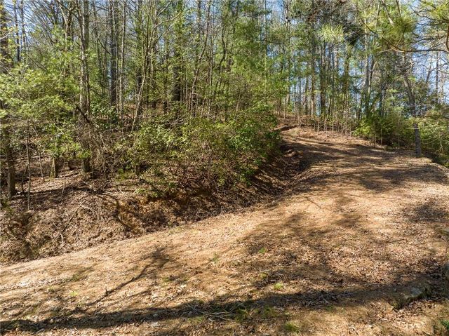 0 Coatopa Court, Ellijay, GA 30540