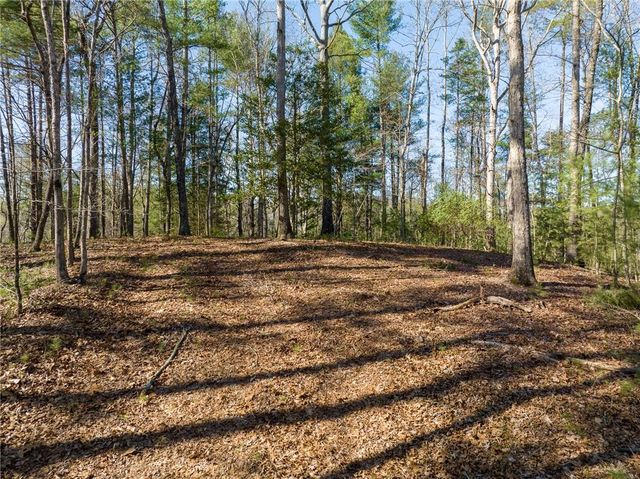 0 Coatopa Court, Ellijay, GA 30540