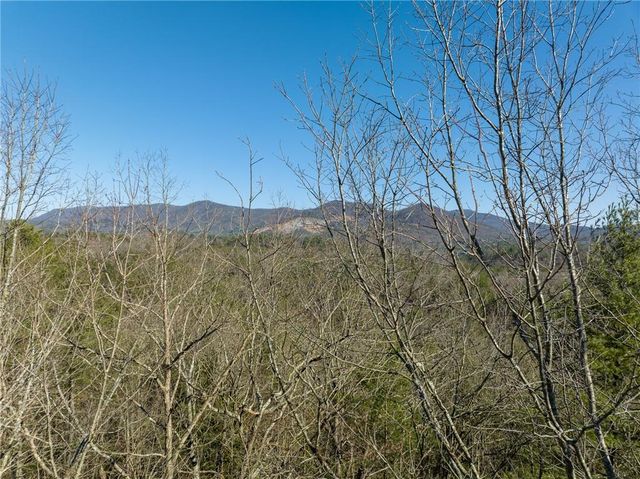 0 Coatopa Court, Ellijay, GA 30540