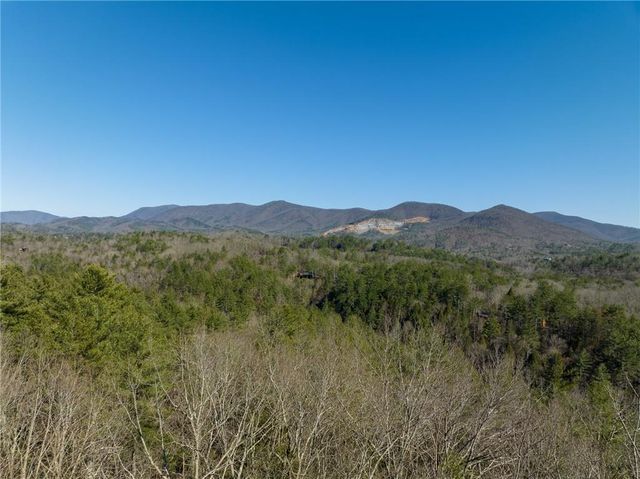 0 Coatopa Court, Ellijay, GA 30540