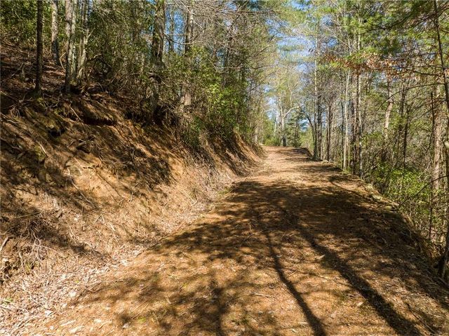 0 Coatopa Court, Ellijay, GA 30540