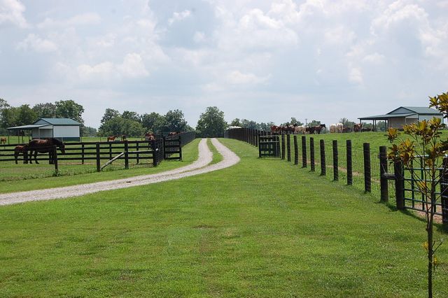 1378 Brentsville Road, Paris, KY 40361