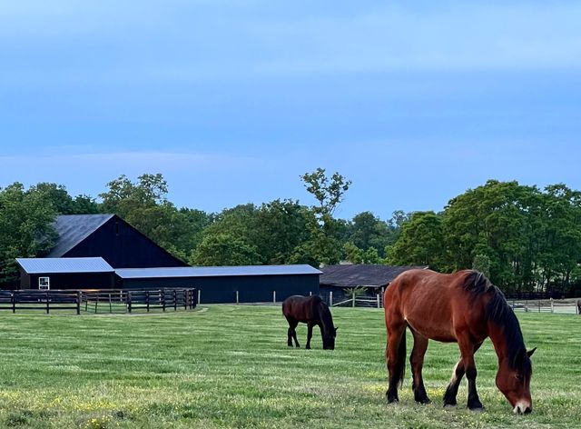 1378 Brentsville Road, Paris, KY 40361