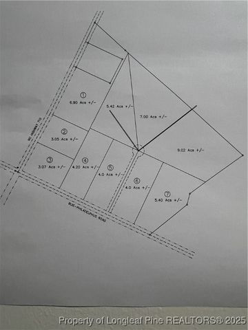Lot 7 Buie Philadelphus Road, Red Springs, NC 28377