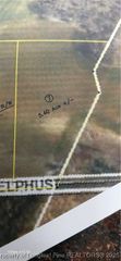 Lot 7 Buie Philadelphus Road, Red Springs, NC 28377