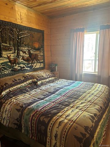 613 Alamosa Avenue, Jasper, CO 81140