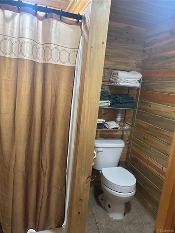613 Alamosa Avenue, Jasper, CO 81140