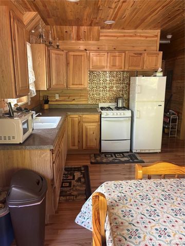 613 Alamosa Avenue, Jasper, CO 81140