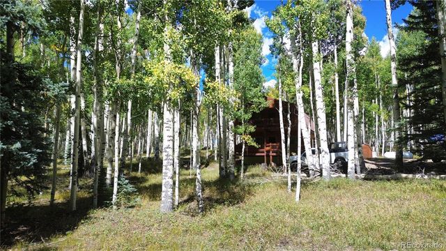 613 Alamosa Avenue, Jasper, CO 81140