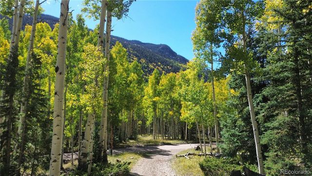 613 Alamosa Avenue, Jasper, CO 81140