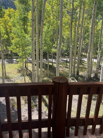613 Alamosa Avenue, Jasper, CO 81140