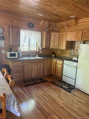 613 Alamosa Avenue, Jasper, CO 81140