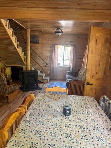 613 Alamosa Avenue, Jasper, CO 81140