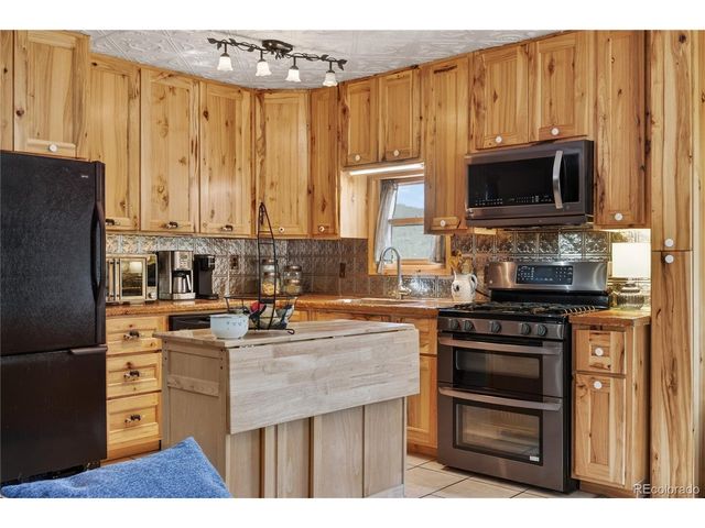 256 Houston St, Bailey, CO 80421