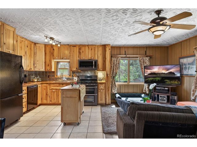 256 Houston St, Bailey, CO 80421