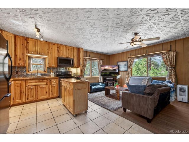 256 Houston St, Bailey, CO 80421