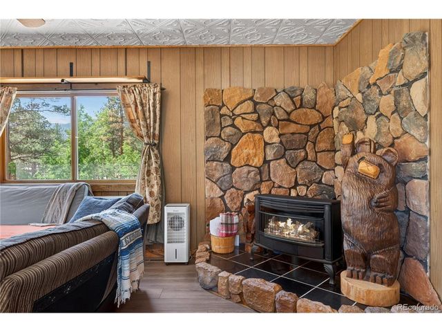 256 Houston St, Bailey, CO 80421