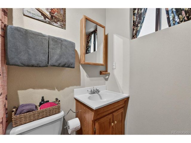 256 Houston St, Bailey, CO 80421